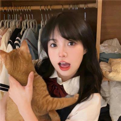 丑闻录带大阴谋